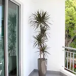 The Seaside Apartman Funchal