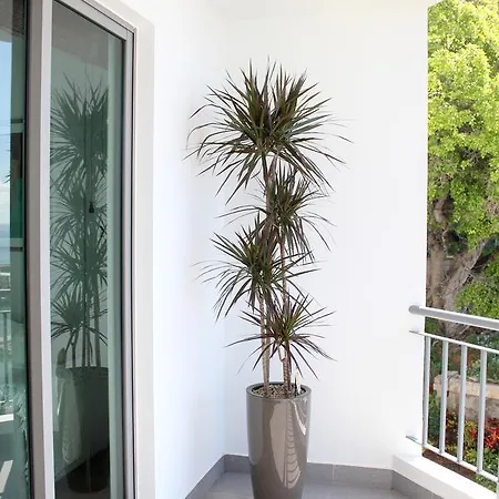 The Seaside 公寓 丰沙尔